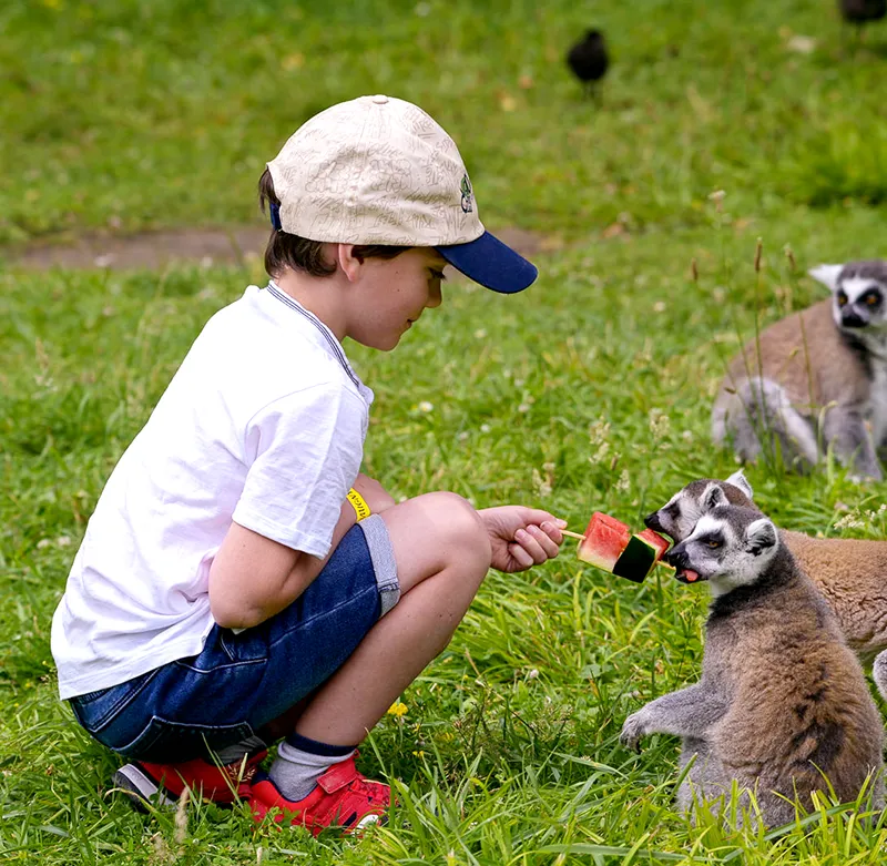 Anniversaire inoubliable au Lumigny Safari Réserve - un anniversaire au zoo
